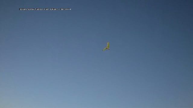 Облет дельталета "Поиск-06" с крылом "Небо-18м" смотреть онлайн