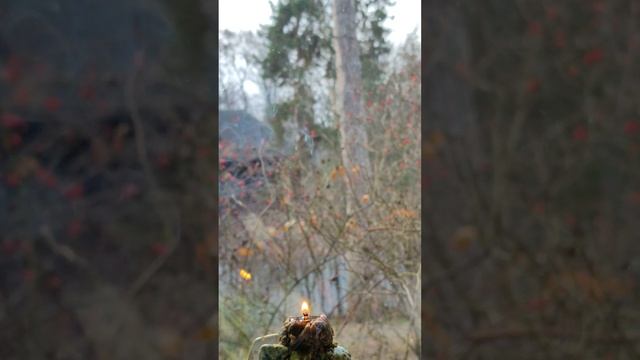 227* Затмение 🌑 8.04.24 в Помощь Освобождаемся от Обещаний Клятв Обрядов Проклятий кому Насылали смотреть онлайн