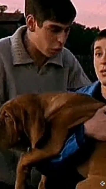 Братва😈 #бригада #белый #космос #фил #пчела #лена смотреть онлайн