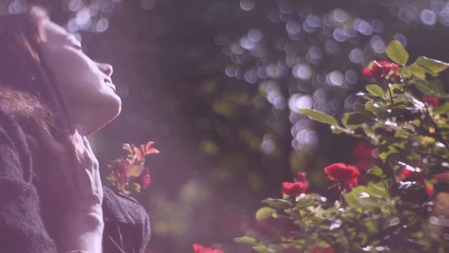 Любовь-это... смотреть онлайн