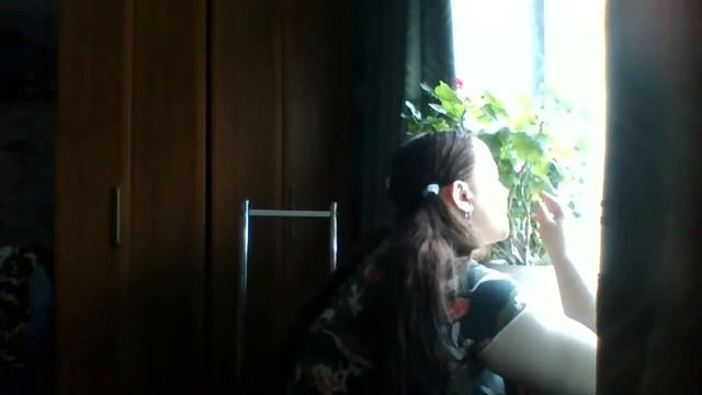 елизавета и аллочка смотреть онлайн