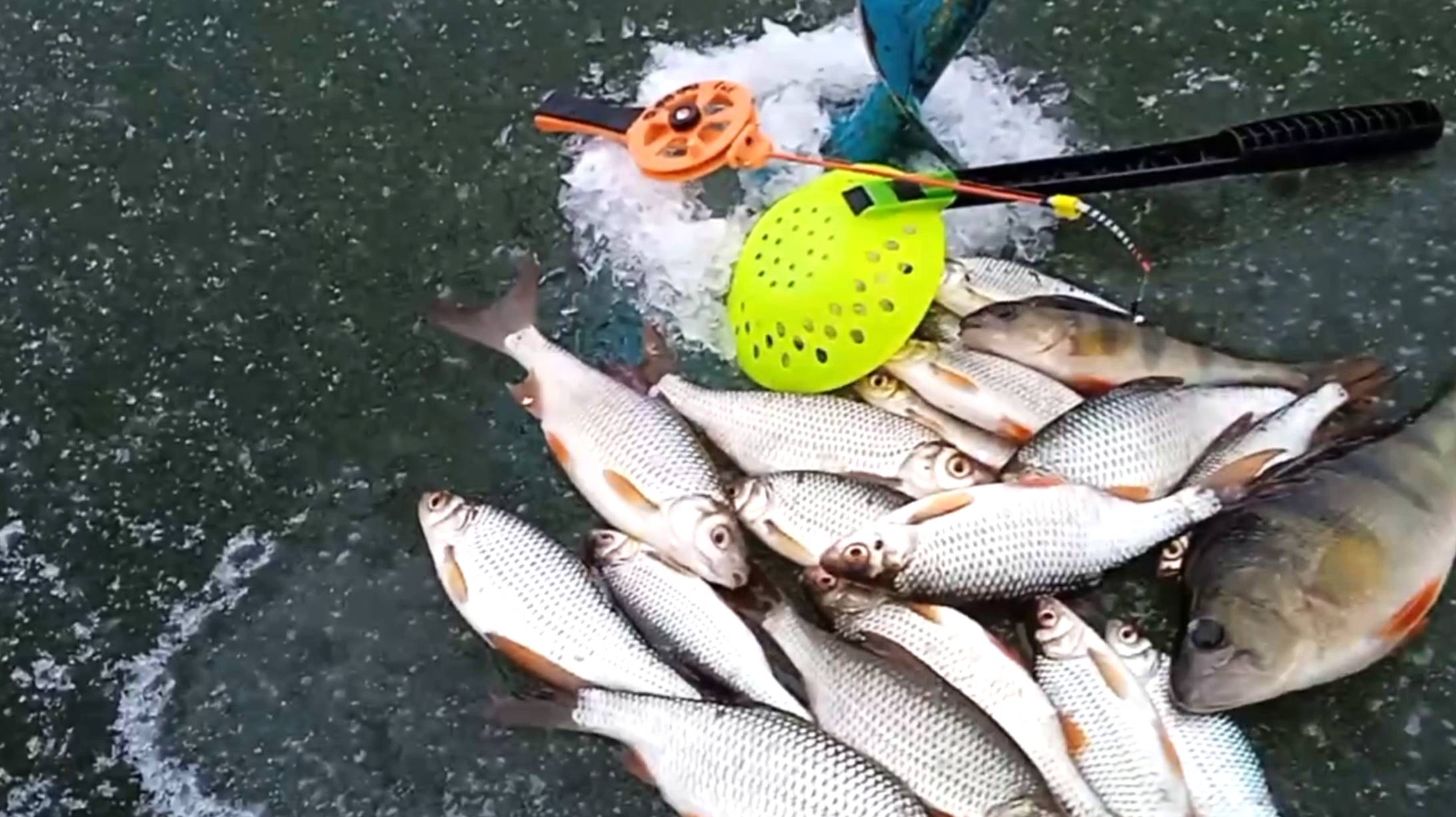 Безмотыльная мормышка с серебряным шариком вновь фаворит дня.