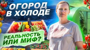 702. ОГОРОД НА СЕВЕРЕ - МОЩНЫЙ УРОЖАЙ В ЛЕНОБЛАСТИ;  «ПО ДАЧАМ»  2 сезон 6 серия