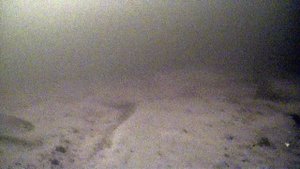 РЫБАЛКА СИГ