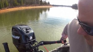 Mercury 25 hp 4 stroke EFI