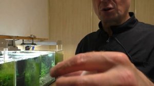 Обзор на сачок для ловли аквариумных креветок ручной работы King Nets от Vinfish