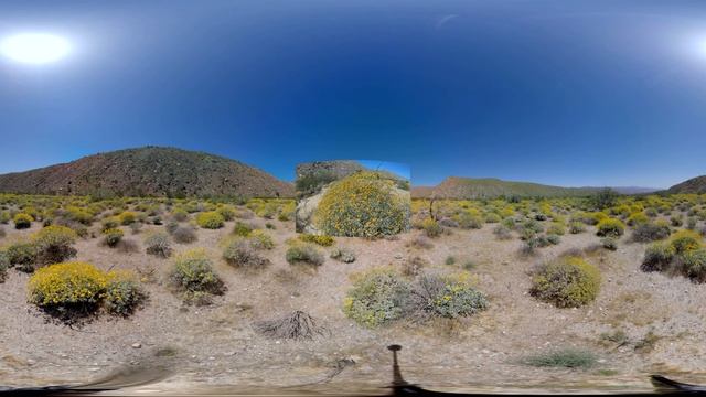 360 Video  - Mission Creek Preserve - Earth Day 2017
