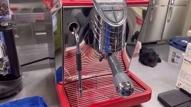 ラテアートにおすすめ エスプレッソマシン シモネリ オスカー2 エスプレッソメーカー セミオート式 エスプレッソマシーン Nuova Simonelli Oscar II смотреть онлайн