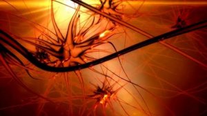 ПОЧУВСТВУЙТЕ МОЩЬ ТВОРЦА - СВЯЗЬ С СИЛОЙ ВСЕЛЕННОЙ