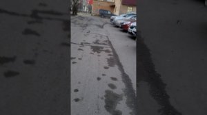 04.02.2024 17:14 Сегодня у "лошадок" праздник