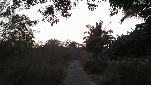 रडणे आणि जीवन смотреть онлайн