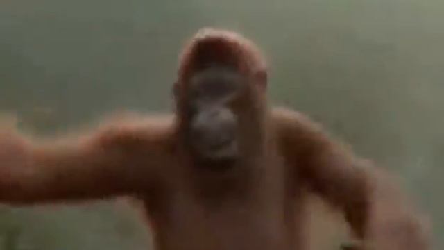 Тупые обезьяны \ гарилы смотреть онлайн