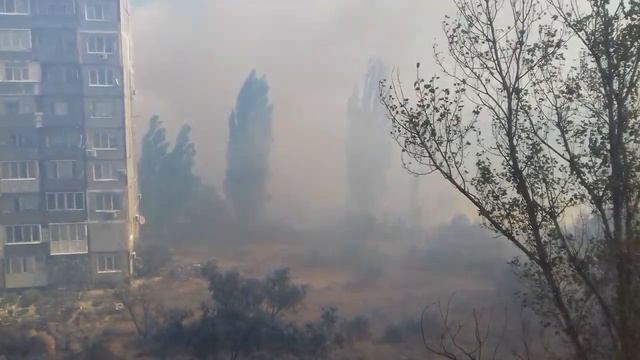 Горит лес в Щелкино смотреть онлайн