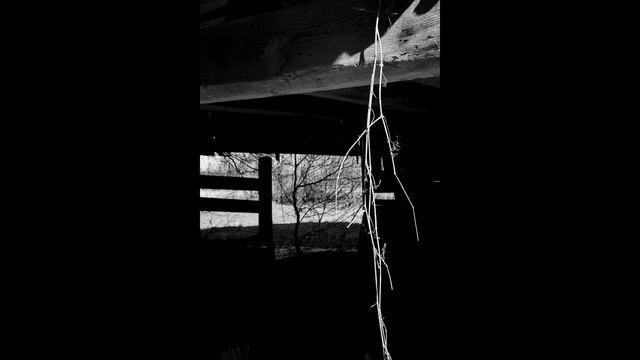 Photowalk - Canon Serenar 35mm f2.8 / Fujifilm X-T10 смотреть онлайн