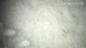 НИКОГДА НЕ ВЫХОДИ НА УЛИЦУ В 3 ЧАСА НОЧИ!
