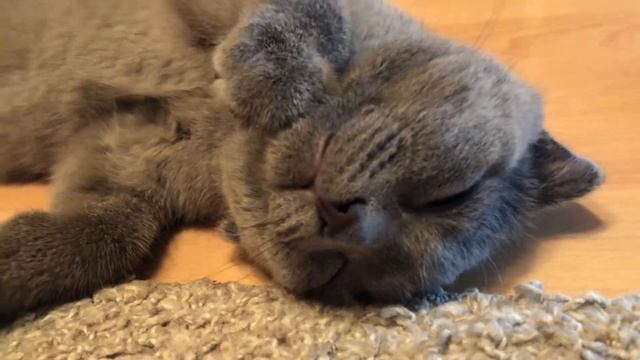 Мой Марс) смотреть онлайн