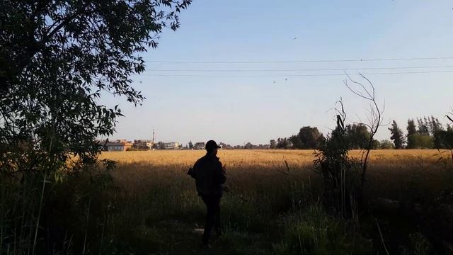 رحله صيد فيها جميع انواع الطيورالبرية السلاح المستخدم كوميتا فينكس ٤٠٠ 🦇 смотреть онлайн