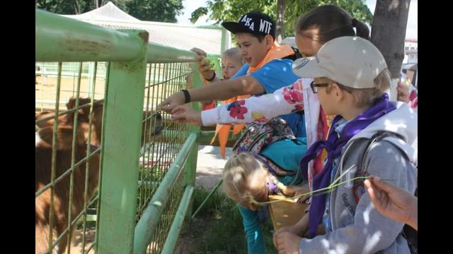 Летний лагерь Радуга смотреть онлайн