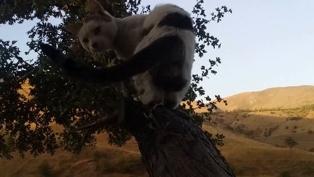 9 августа 2023 г. смотреть онлайн