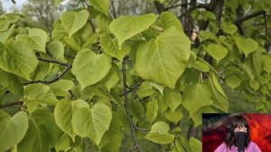 Увидев случайно фотографию подруги в телефоне свекрови, Настя решила последить за ней. Но узнав...