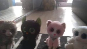 Коллекция всех наших Глазастиков Beanie Boos Ty. (Статус на 13.07.2023)