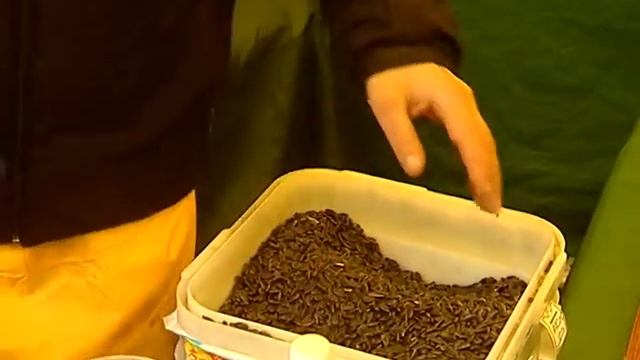 Первые итоги электронного эксперимента/20.10.2013 смотреть онлайн