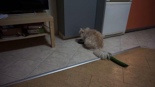 Марс експеримент с краставица смотреть онлайн