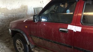 Отстрел сайгаков в Костанайской области