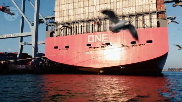TOP 10 CONTAINER SHIPPING COMPANIES 2021