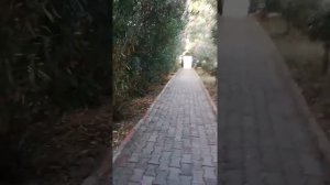 Турция m.c mahberi beach hotel 4 **** (konakli)