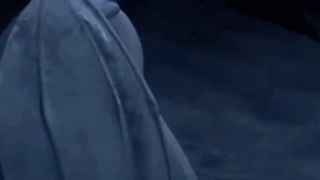 Дневная фурия и Беззубик! клип ( если устал ) смотреть онлайн