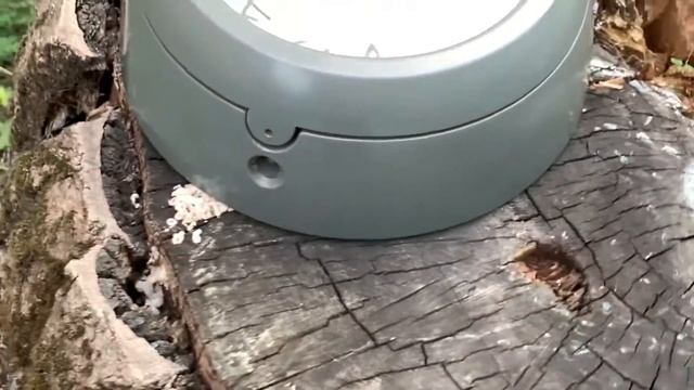 Часы корабельные № 10 смотреть онлайн