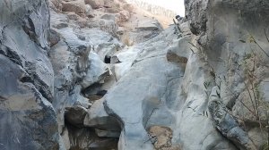 кемпинг в лесу под скалой, выживание в естественном укрытии строительство костра