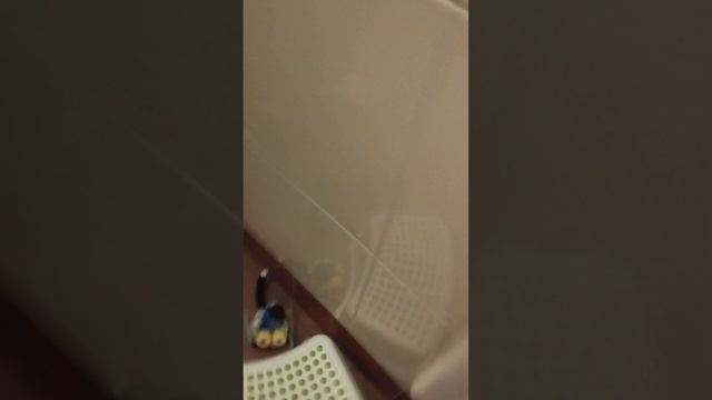 24 ЧАСА В ТУАЛЕТЕ ЧЕЛЕНЖ #скибидитуалет