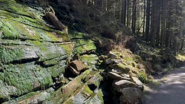 Одно из самых популярных мест в НОРВЕГИИ 2024. Kossdalssvingane.
