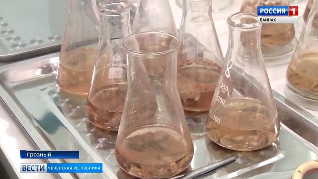 Необходимость прохождения регистрации в системе Меркурий смотреть онлайн