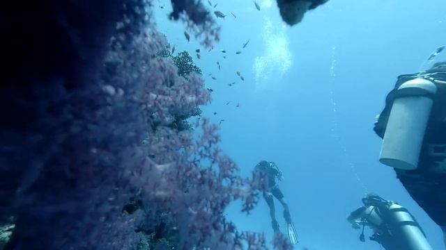 Diving Marsa Alam 2018 смотреть онлайн
