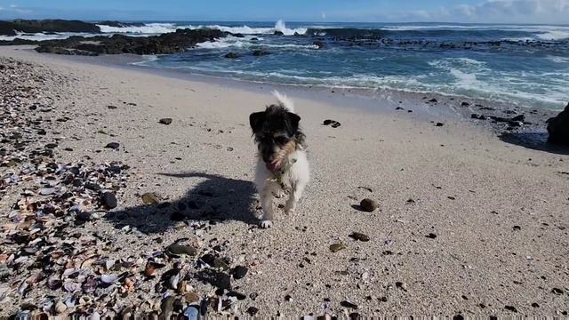 Walking Cape Town Promenade смотреть онлайн