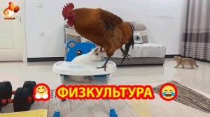 Физкультура трех друзей ❣️🤗😂