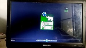 Обзор на DVD-диск Планета Животных Выпуск 12