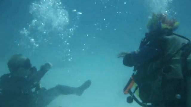 Marsa Shagra Scuba diving Red Sea, Egypt смотреть онлайн