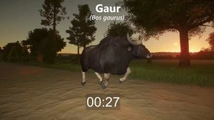 Grassland Animals Category Speed Race in Early Morning in Planet Zoo included Rhino, Cheetah & etc
