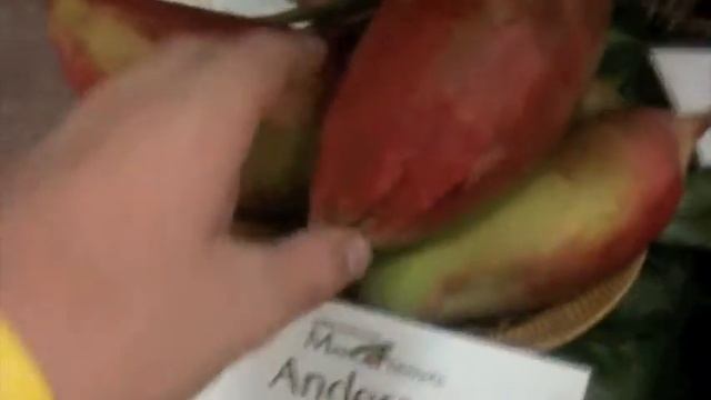 100+ Mango Varieties On Display at 2013 International Mango Festival смотреть онлайн