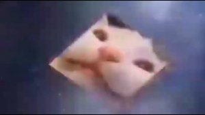 кот в космосе летает фортинайт или бабаджи версия 10 минут