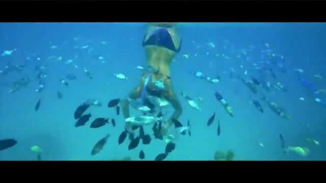 MG Alexander the great Hotel Marsa Alam Set your soul free. 