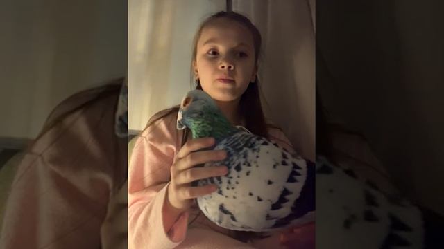 Делюсь сокровенным смотреть онлайн