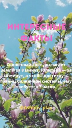 #советы #фактымира #рекомендации #рекомендацииютуба #2023 #советыmix #facts