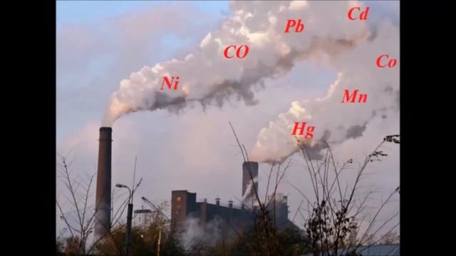 Берегите леса планеты смотреть онлайн