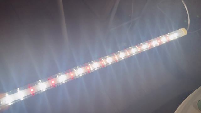 IMG_4321 смотреть онлайн