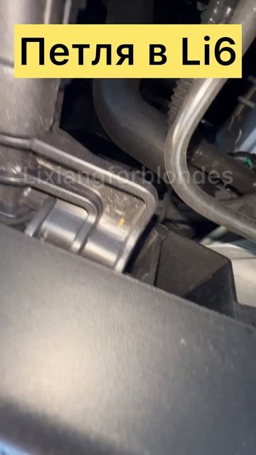 Петля в lixiang 6 #lixiang #li9 #li7 #L9 #L7 #lixiangforblondes #li6 #l6 #li8 #l8 смотреть онлайн